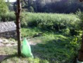 /album/fotogaleria4/priroda1-jpg/